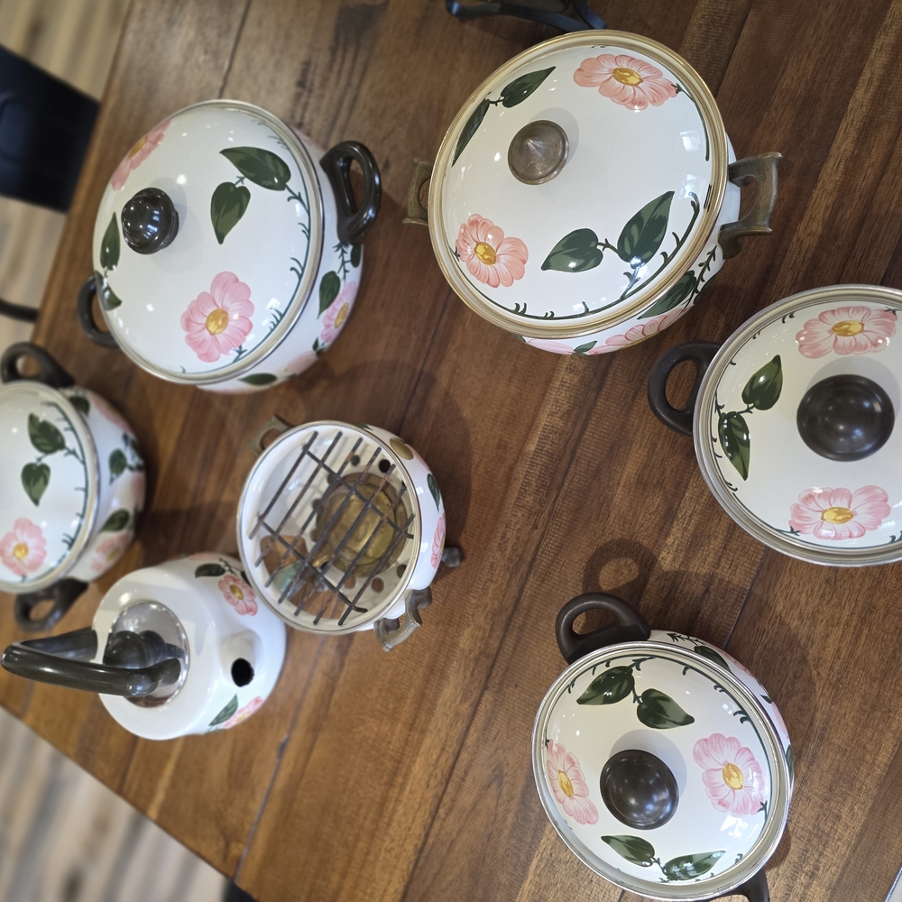Villeroy and Boch Wild Rose Cookware